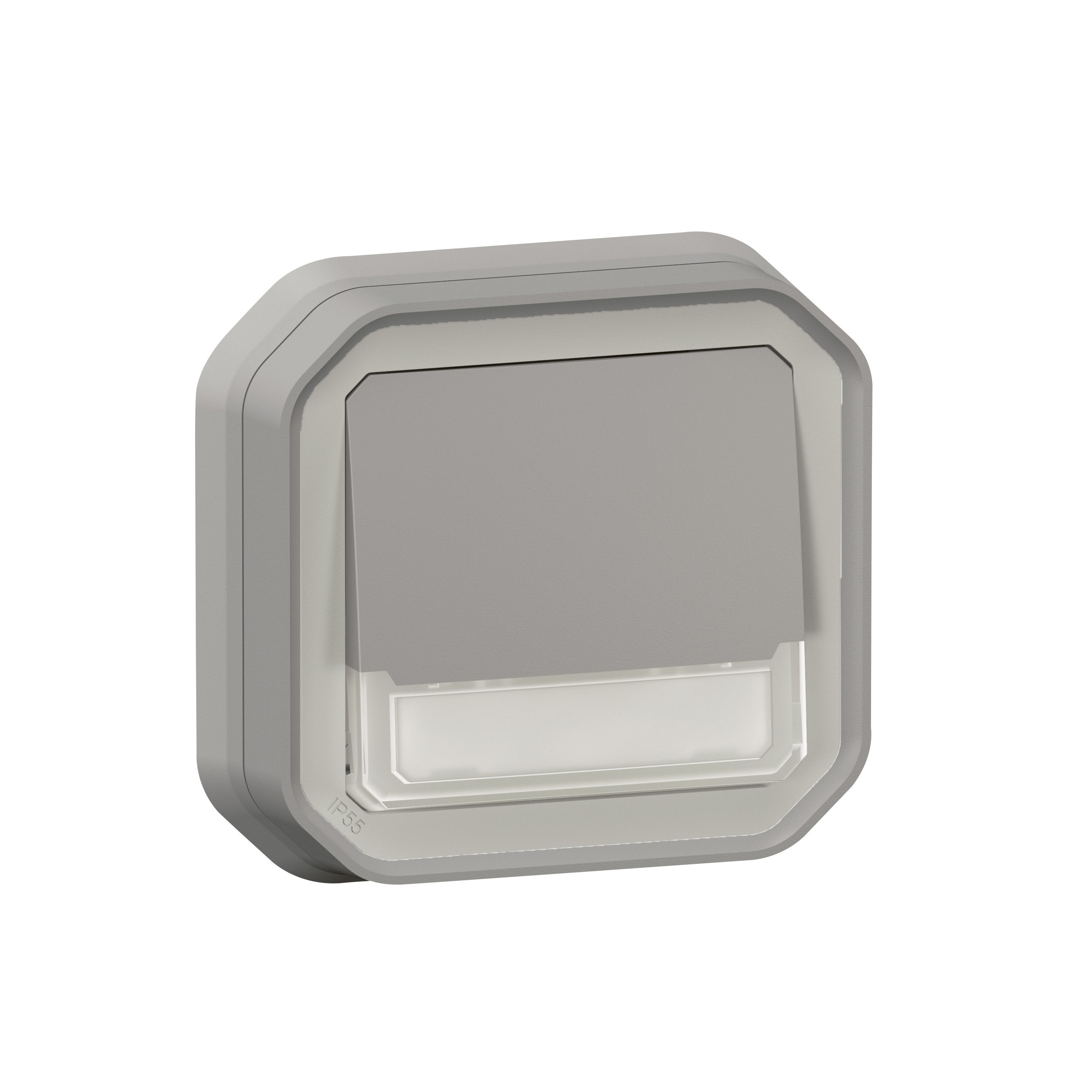 Poussoir NO-NF lumineux Plexo IP55 IK08 - Gris - 069544L